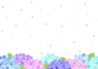 梅雨の紫陽花のフレーム