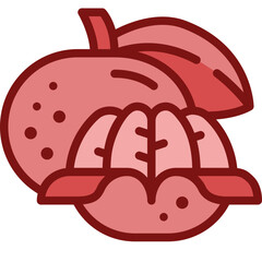 orange two tone icon