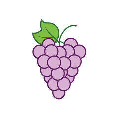 bunch of grapes isolated on white