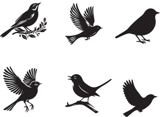 Obraz premium Bird vector silhouette on white background