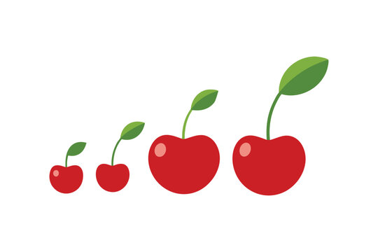 red cherries with green leaves on white clip art preview