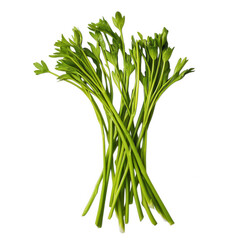 Obraz premium Fresh Green Celery Stalks Culinary Herb, Garnish, and Healthy Ingredient
