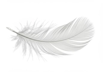 Obraz premium Single white feather isolated on a clean white background, soft and delicate