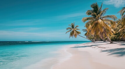 Tropical beach with palm trees near turquoise waters on a sunny day in a serene coastal paradise