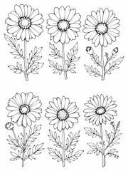 Alpine Aster line art minimalistic floral design creation.eps