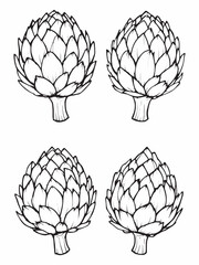 Artichoke elegant line art for clean aesthetic style.eps