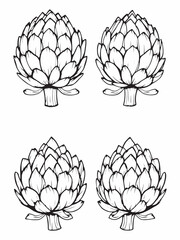 Artichoke simple line art drawing for modern design.eps