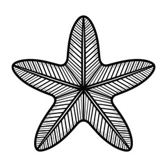 Ornate Line Art Starfish Illustration for Design Projects