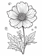 Beautiful real single flower line art illustration minimal.eps