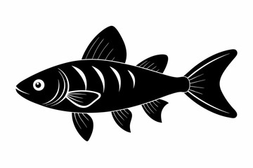 rainbowfish sihouette black vector