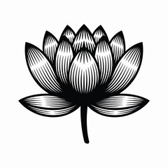 Elegant Black and White Lotus Flower Illustration