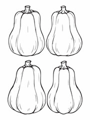 butternut squash minimalist line art on white background.eps