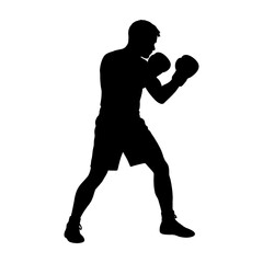 Boxer in Silhouette Stance.