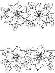 Clematis Armandii simple line art plant design drawing.eps