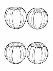 coconut line art simple beach themed illustration artwork.eps