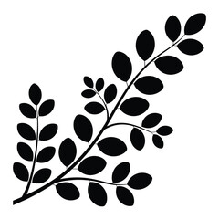 Black Silhouette Moringa Branch with Oval Leaves Illustration