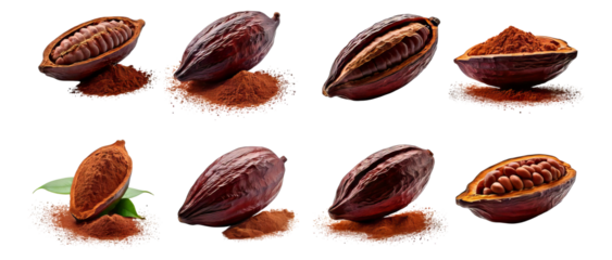 Fresh Cacao Pods, Opened and Whole, with Powder and Seeds Displayed, Isolated on Transparent, white background