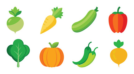collection of vegetables vector illustration on white background