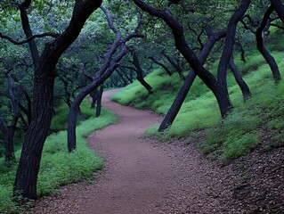 Fototapeta premium Serene Winding Trail Through Lush Green Forest with Dark Twisted Trees