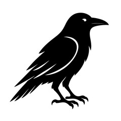 Raven Silhouette in Bold Ink. bird vector: Ideal for use as a tattoo, icon, web graphic design, and infographic concepts.