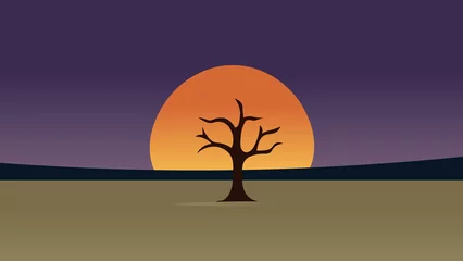 Fototapeten Lonely tree silhouette against the orange evening sky in the desert landscape © Abdul Waheed