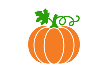Orange pumpkin with green stem and vine illustration