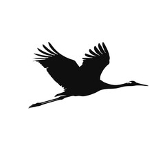 Elegant Silhouette of a Flying Crane Bird with Outstretched Wings. Nature and Wildlife Art for Stock Illustrations and Graphics