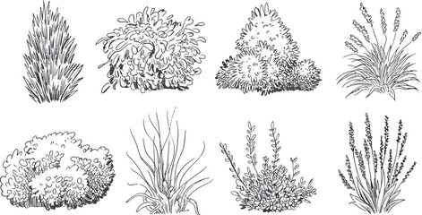 Set of hand drawn landscape plant outlines for design