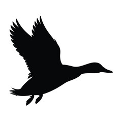Black Silhouette of a Duck in Flight
