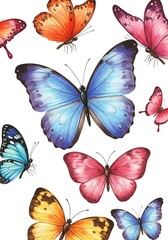 Colorful Butterfly Illustration, Watercolor Style