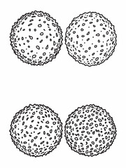 falafel ball line art creative cuisine food concept.eps