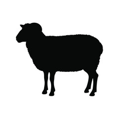 Black Silhouette of a Ram Sheep Standing Profile