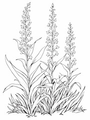 Naklejka premium Flax Lily Botanical Art in Minimalist Line Design.eps