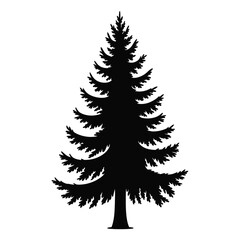 Black Silhouette of a Coniferous Evergreen Tree