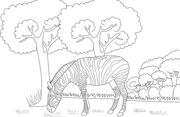 Zebra Eating Grass Line Drawing, A simple black and white line drawing illustration of a zebra grazing on grass with trees and bushes in the background, suitable for coloring pages or educational 