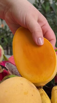 cut delicious tropical fruits healthy food mango bananas passion fruit watermelon oranges and other juicy Asia palm leaves in the background