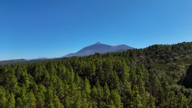 Teide from the village of el tanque, tenerife, surrounded by nature, aerial view