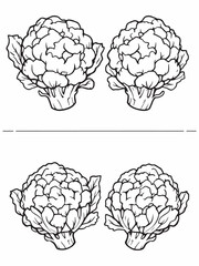 Fresh raw cauliflower line art drawing concept.eps