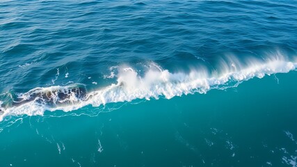 Obraz premium A powerful ocean wave crashes and curls creating a stunning display of blue water and white foam.