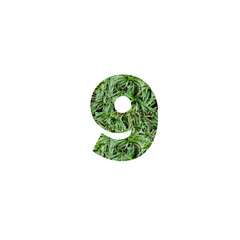 Design number 9 with leaf texture