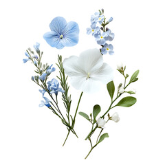 Sympathy Card Set with Thoughtful Designs Isolated on Transparent Background