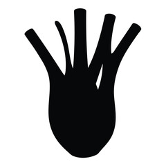 fennel bulb vector silhouette icon - perfect for food, farming, or nutrition concepts.