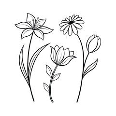 simple line drawings, minimalist flower vector art illustration