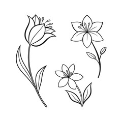 simple line drawings, minimalist flower vector art illustration