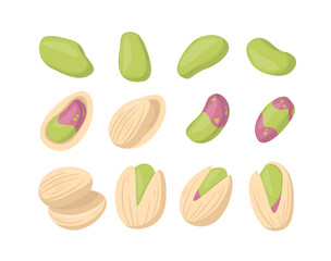 Pistachio Nuts Collection. Cartoon Flat Food Vector Illustration. 
