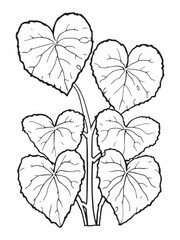 Heartleaf Begonia line art hand drawn plant sketch.eps