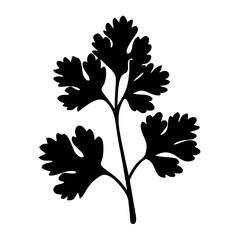 cilantro vector silhouette icon - perfect for food, farming, or nutrition concepts.