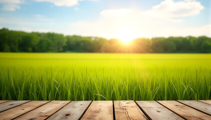 Wooden table, empty table, Green lawn, grass and sea background. hard wood table, sea, sea side, summer, outdoor, sunny day, sunlight, country side, garden, field, natural vibe, good for key up.