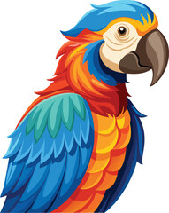 Macaw