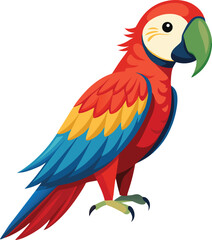 Macaw